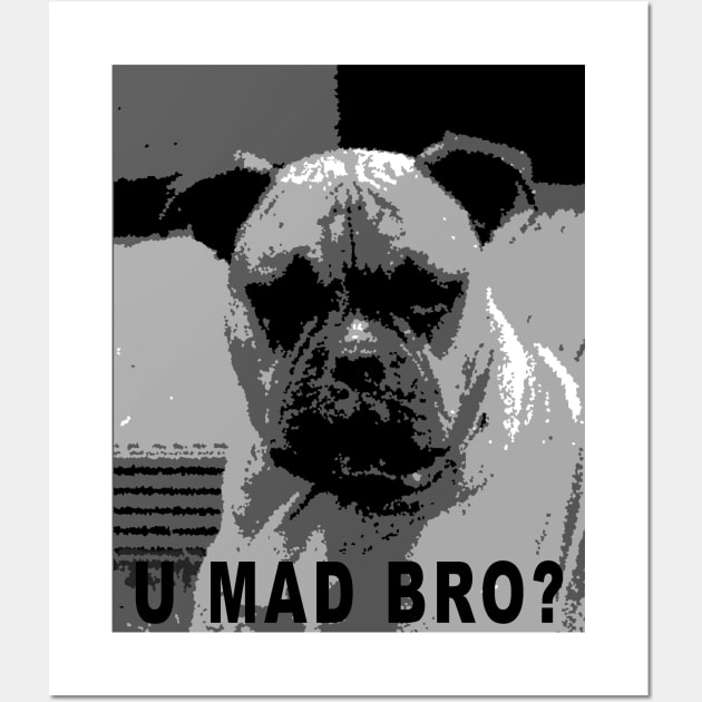 U mad bro? Wall Art by Sinmara